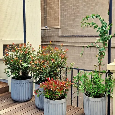 Elegant Paris Ave With A Terrace