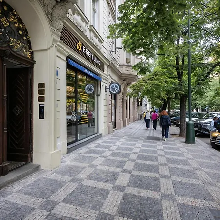 Elegant Paris Ave With A Terrace